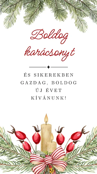 Karácsonyi idill