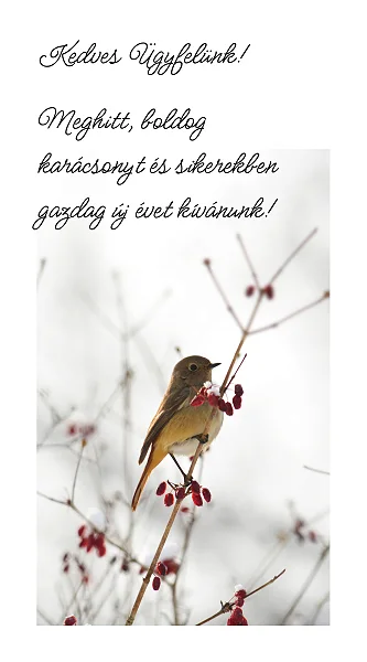 Karácsonyi táj
